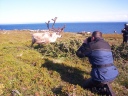Reindeer on Mageroya